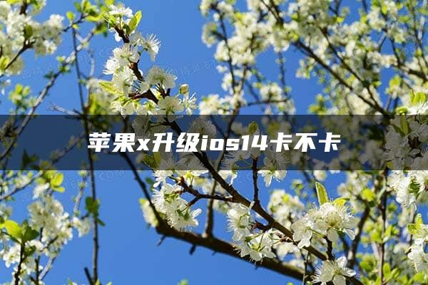 苹果x升级ios14卡不卡