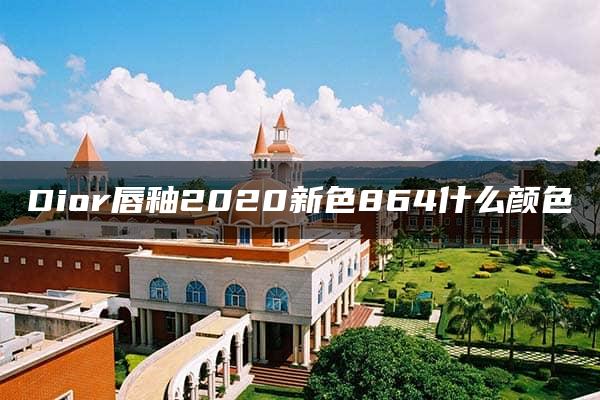 Dior唇釉2020新色864什么颜色