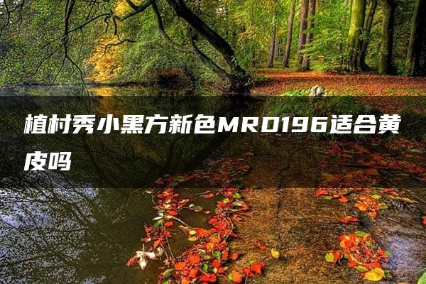 植村秀小黑方新色MRD196适合黄皮吗