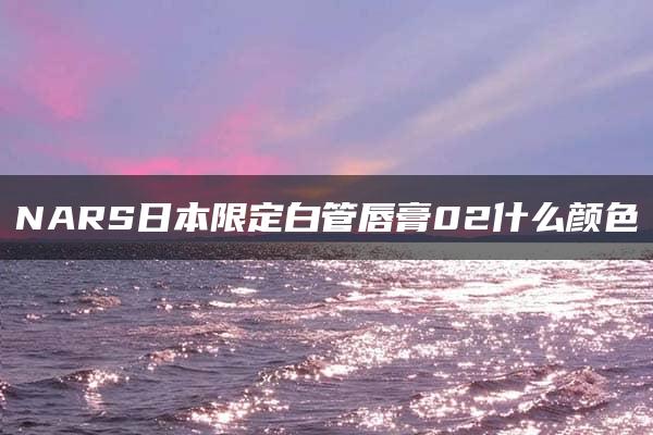 NARS日本限定白管唇膏02什么颜色