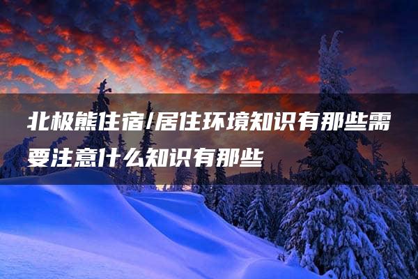 北极熊住宿/居住环境知识有那些需要注意什么知识有那些