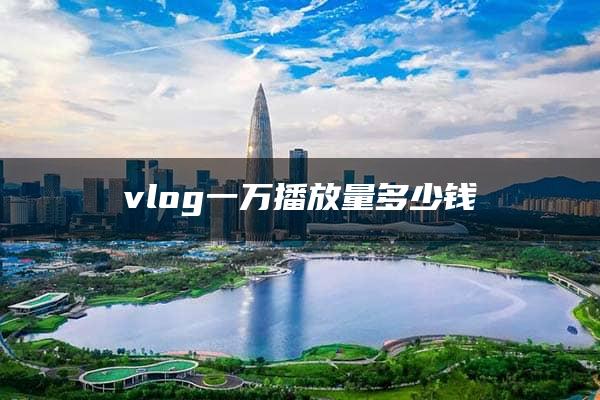 vlog一万播放量多少钱