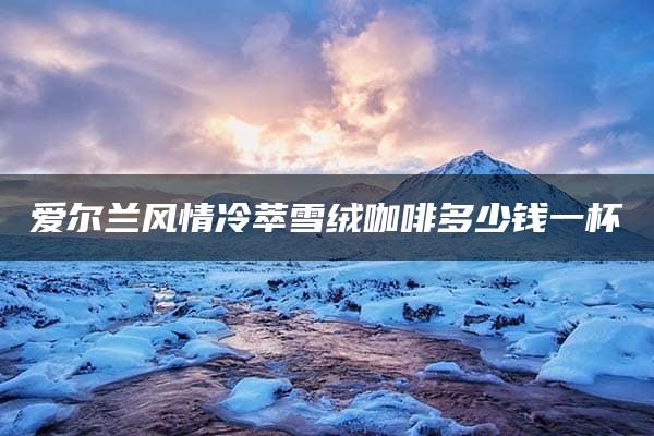 爱尔兰风情冷萃雪绒咖啡多少钱一杯