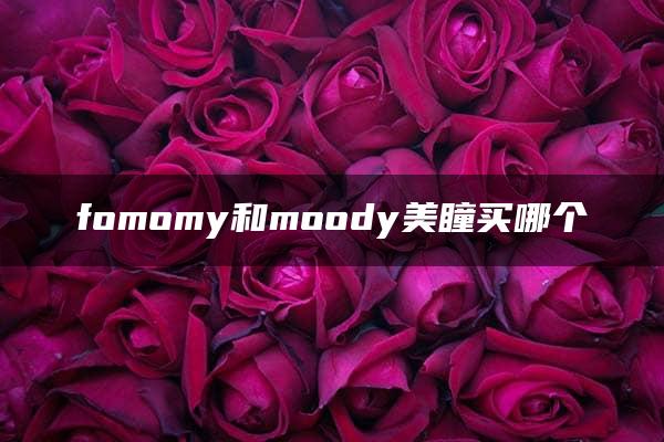 fomomy和moody美瞳买哪个