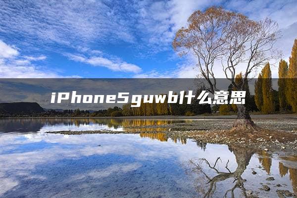 iPhone5guwb什么意思