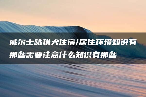 威尔士跳猎犬住宿/居住环境知识有那些需要注意什么知识有那些