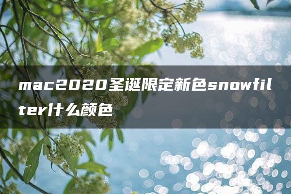 mac2020圣诞限定新色snowfilter什么颜色