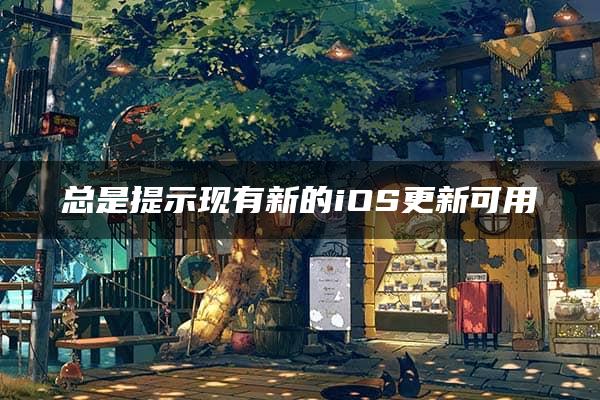 总是提示现有新的iOS更新可用