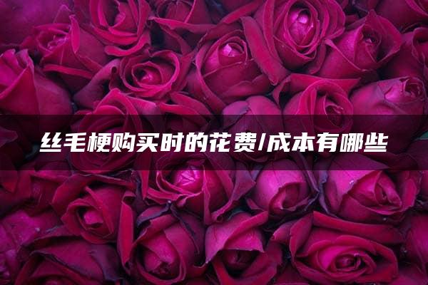 丝毛梗购买时的花费/成本有哪些