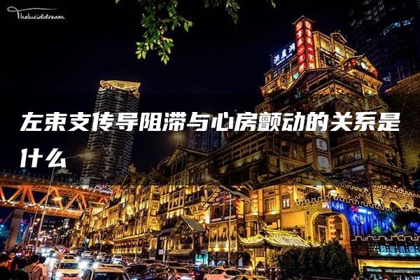 左束支传导阻滞与心房颤动的关系是什么