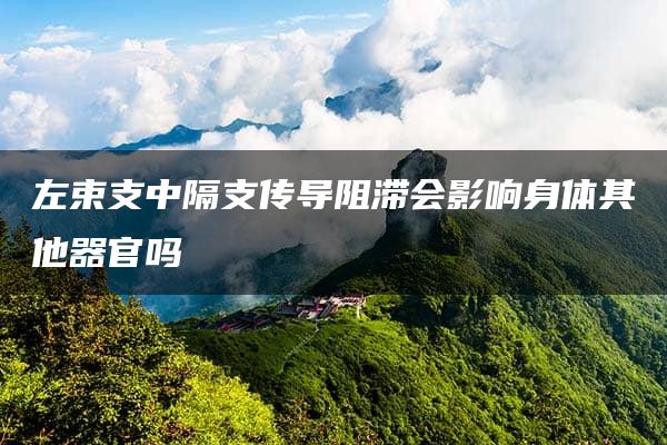 左束支中隔支传导阻滞会影响身体其他器官吗