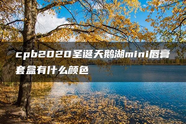 cpb2020圣诞天鹅湖mini唇膏套盒有什么颜色