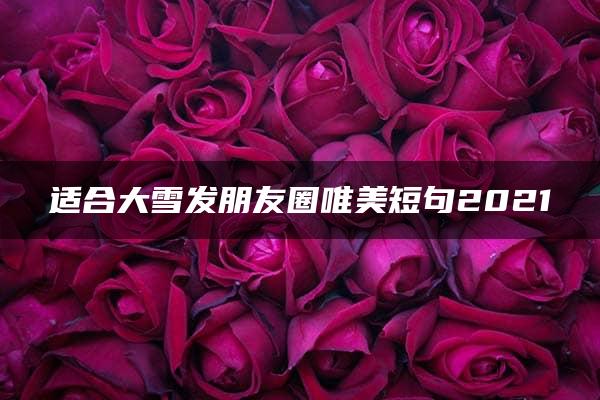 适合大雪发朋友圈唯美短句2021