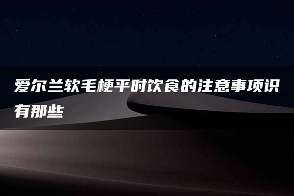 爱尔兰软毛梗平时饮食的注意事项识有那些