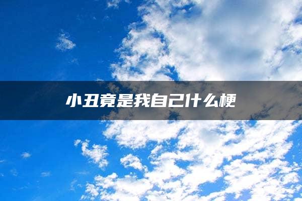 小丑竟是我自己什么梗