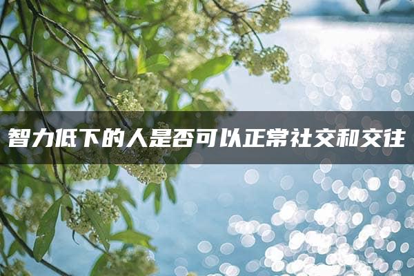 智力低下的人是否可以正常社交和交往