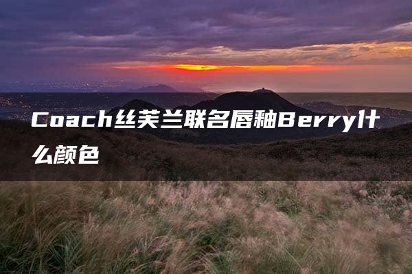 Coach丝芙兰联名唇釉Berry什么颜色