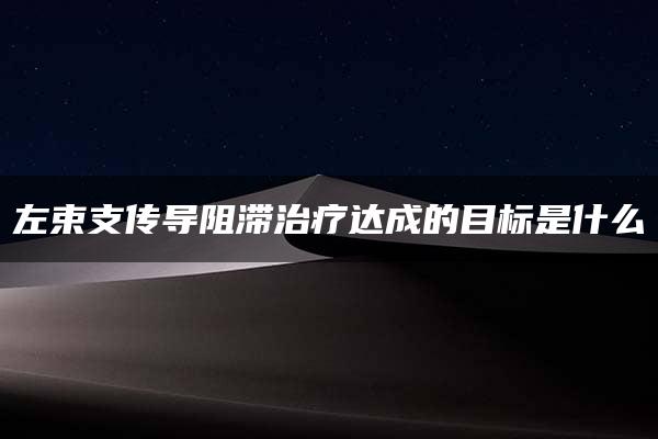 左束支传导阻滞治疗达成的目标是什么