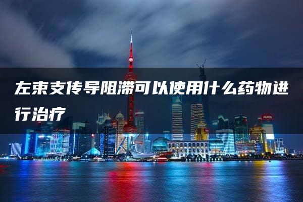 左束支传导阻滞可以使用什么药物进行治疗