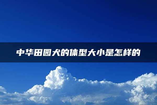 中华田园犬的体型大小是怎样的