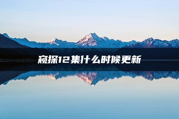 窥探12集什么时候更新