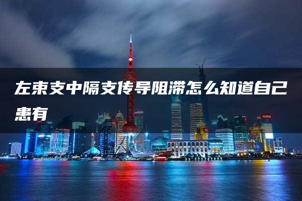 左束支中隔支传导阻滞怎么知道自己患有