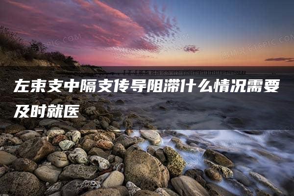 左束支中隔支传导阻滞什么情况需要及时就医