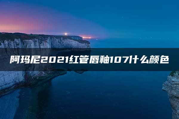 阿玛尼2021红管唇釉107什么颜色