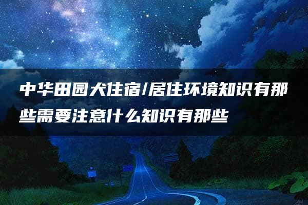 中华田园犬住宿/居住环境知识有那些需要注意什么知识有那些