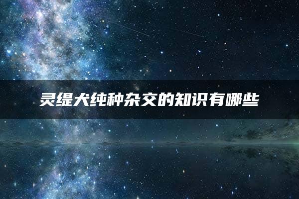 灵缇犬纯种杂交的知识有哪些