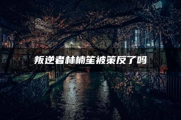 叛逆者林楠笙被策反了吗