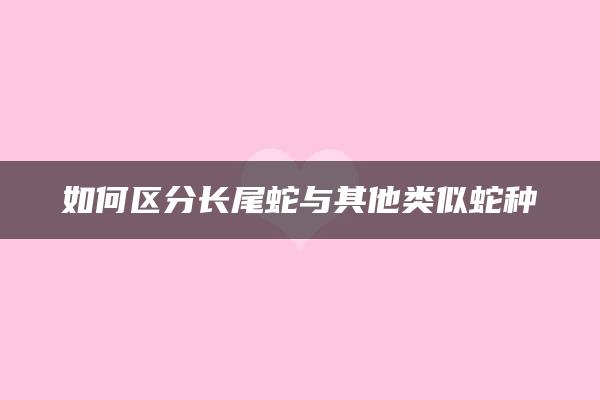 如何区分长尾蛇与其他类似蛇种