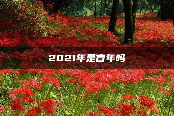 2021年是盲年吗