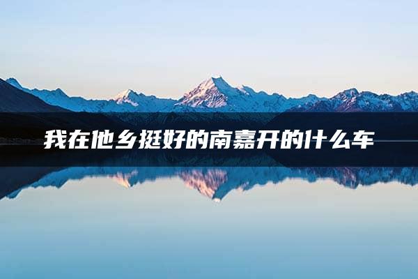 我在他乡挺好的南嘉开的什么车