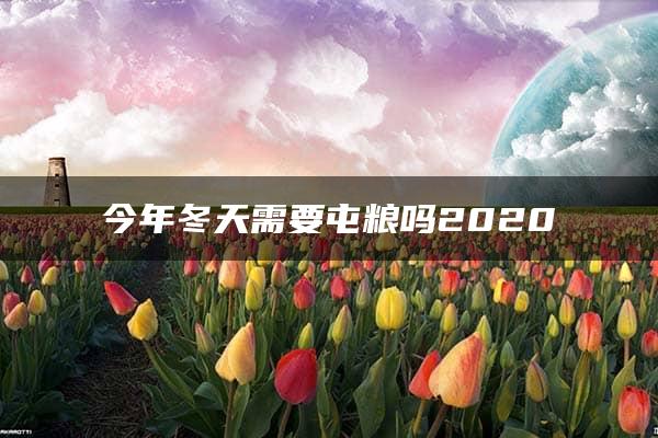 今年冬天需要屯粮吗2020