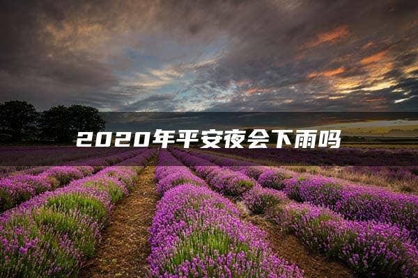 2020年平安夜会下雨吗