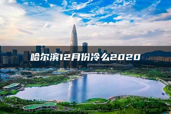 哈尔滨12月份冷么2020