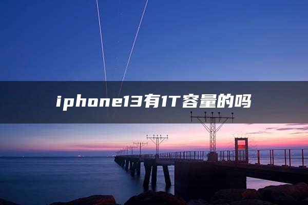 iphone13有1T容量的吗