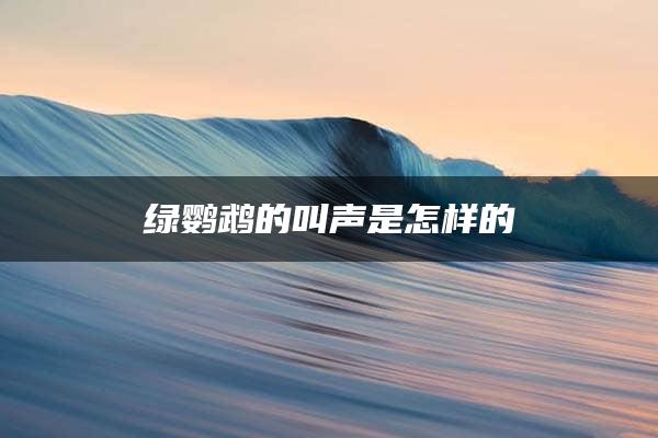 绿鹦鹉的叫声是怎样的