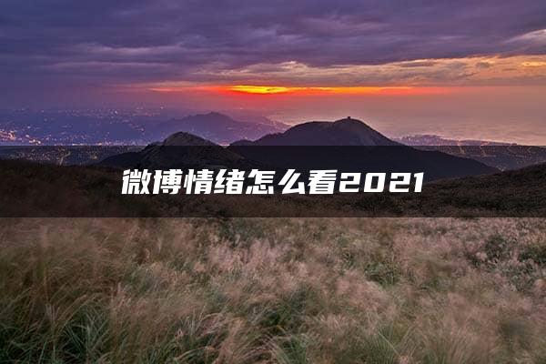 微博情绪怎么看2021