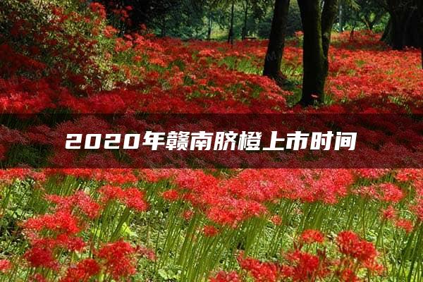 2020年赣南脐橙上市时间