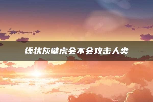 线状灰壁虎会不会攻击人类