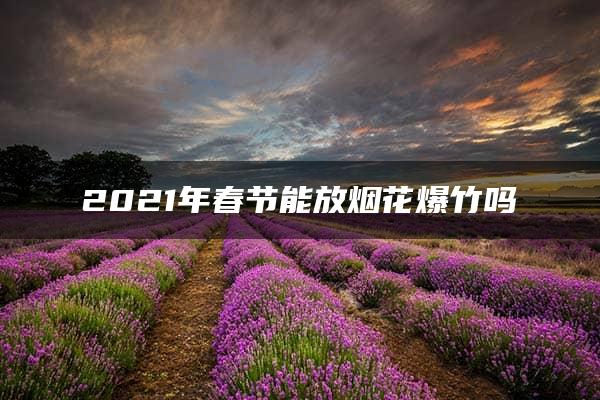 2021年春节能放烟花爆竹吗