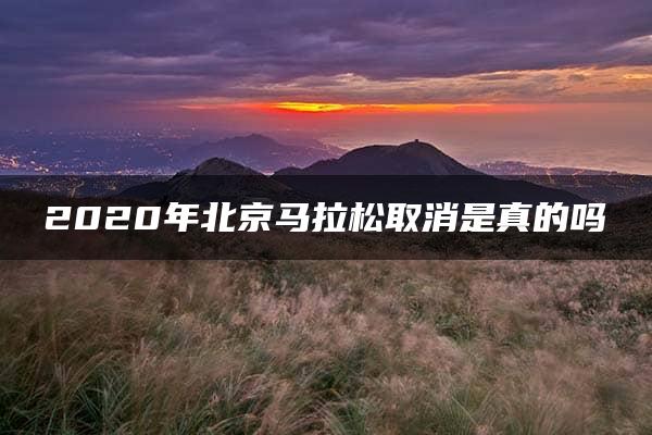 2020年北京马拉松取消是真的吗