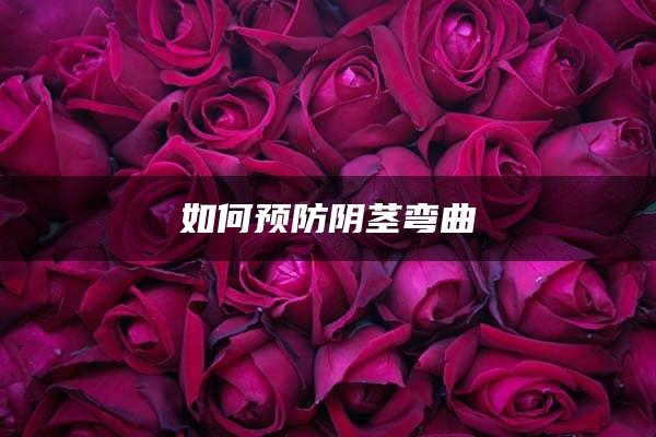 如何预防阴茎弯曲