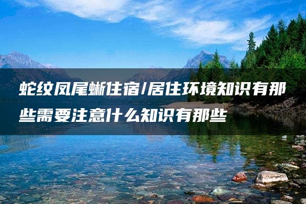 蛇纹凤尾蜥住宿/居住环境知识有那些需要注意什么知识有那些