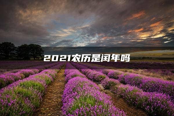 2021农历是闰年吗