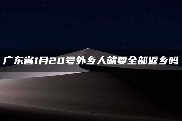 广东省1月20号外乡人就要全部返乡吗