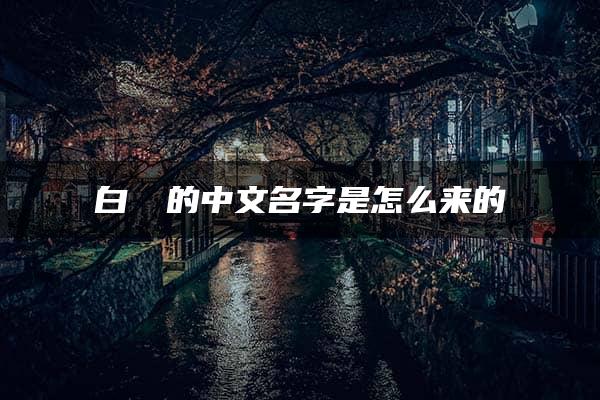 白鹡鸰的中文名字是怎么来的