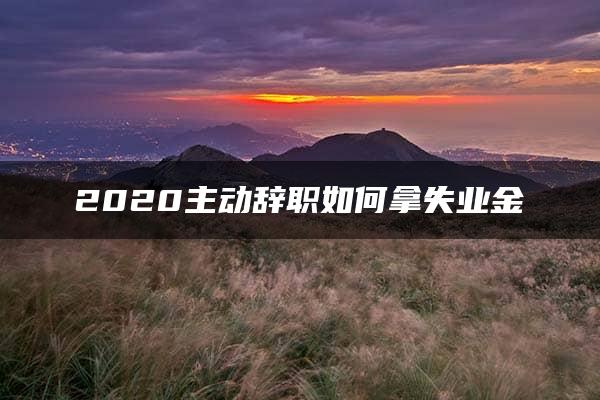 2020主动辞职如何拿失业金